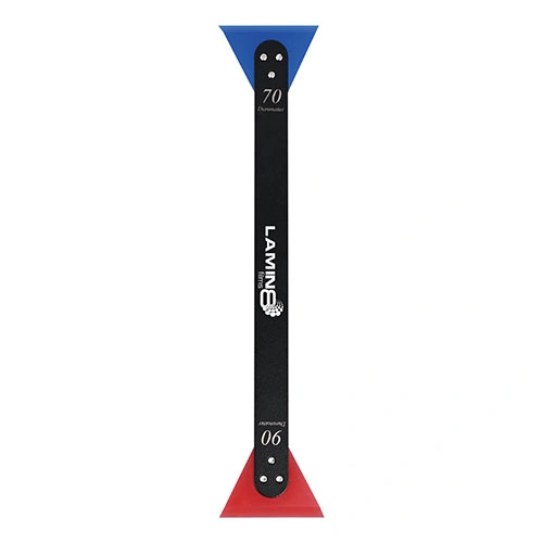 ppf-squeegees/IFTA219